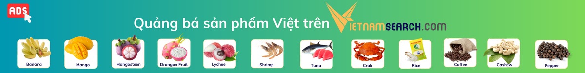 Vietnamsearch